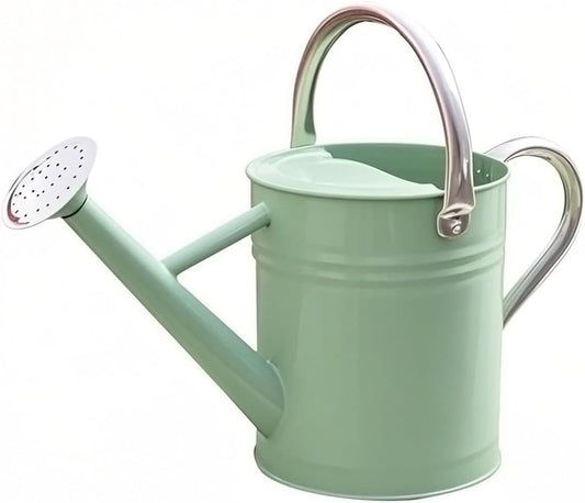 Metal Watering Can, One Gallon Watering Cans Stainless Steel for Outdoor Indoor Garden Plants Watering (Cream Green)