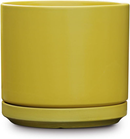 Mid Modern Planter with Detached Saucer (Bumblebee,14.0" D x 12.0" H)