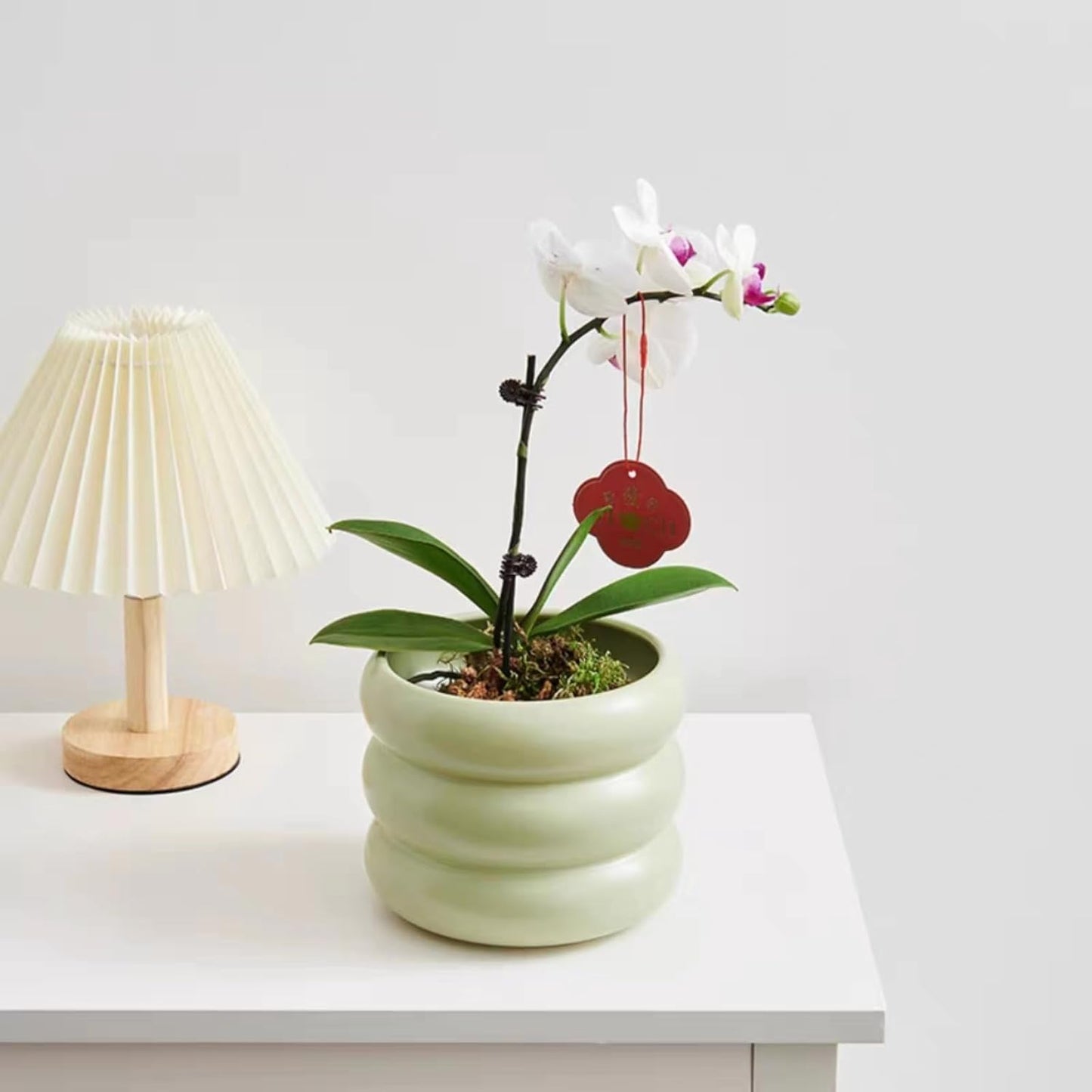 Ceramic Plant Pot Indoor, 4.7 Inch Flower Pot with Drainage Hole, Small Bubble Design Ceramic Planter for Home & Office Decor (Green)