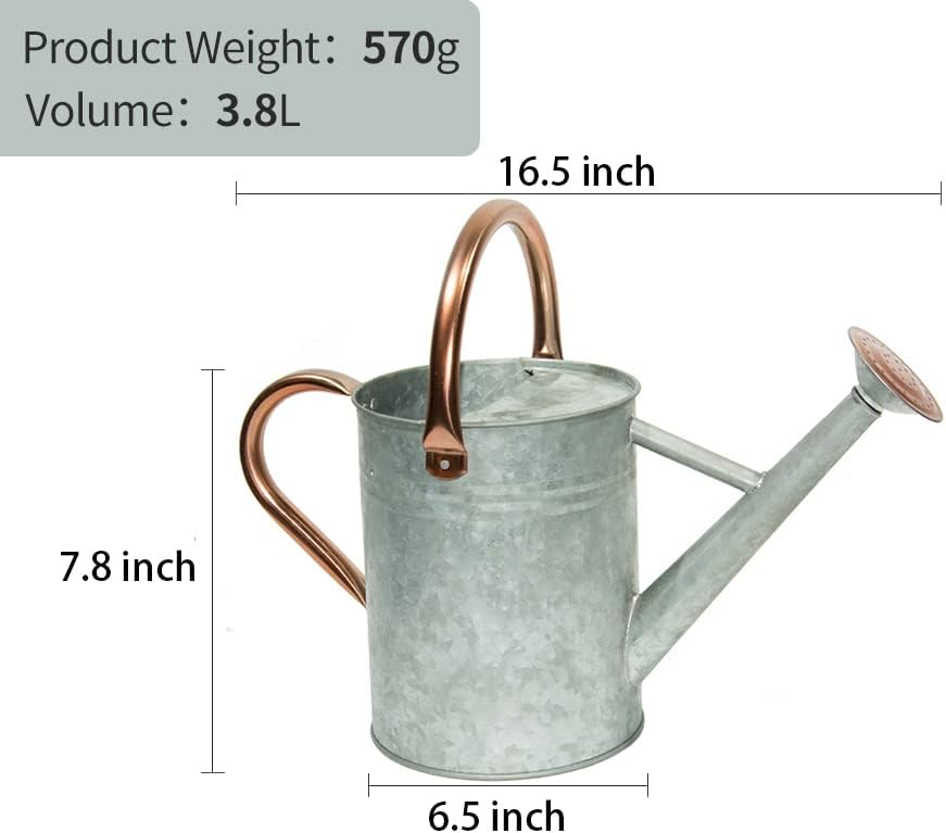 Metal Watering Can, One Gallon Watering Cans Stainless Steel for Outdoor Indoor Garden Plants Watering (Zinc 1 Gallon)