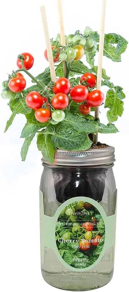 Hydroponic Tomato Growing Kit, Self-Watering Mason Jar Tomato Garden Starter Kit Indoor, Grow Tomatoes from Organic Seeds (Tiny Tim Cherry Tomato)