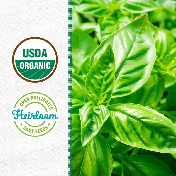 Wellness Grow Kit: Basil