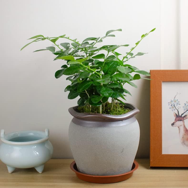 4 Pack of 12 inch Plant Saucer, Heavy Duty Plastic Bird Bath Bowl 12 inch, Plant Tray for Pots, Flower Plant Saucers for Indoors, Plant Trays for Planter 11"/12" (12 inch, Terracotta)