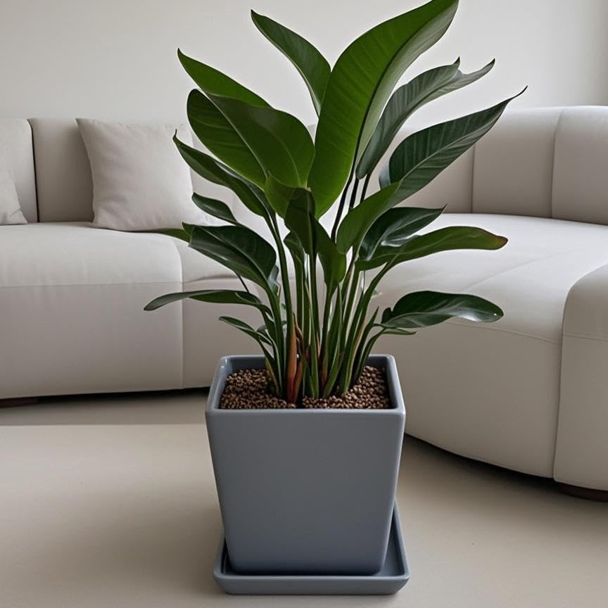 Square Plant Saucer 12 Inch 1 Pack，Plant Trays for Pots, Gray Ceramic Plant Saucers for Indoors Outdoors, Plant Drip Tray 4 6 8 10 12 14 Inch