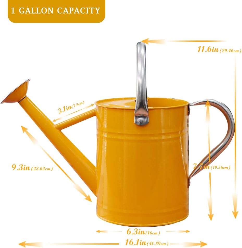 Metal Watering Can, One Gallon Watering Cans Stainless Steel for Outdoor Indoor Garden Plants Watering (Yellow)