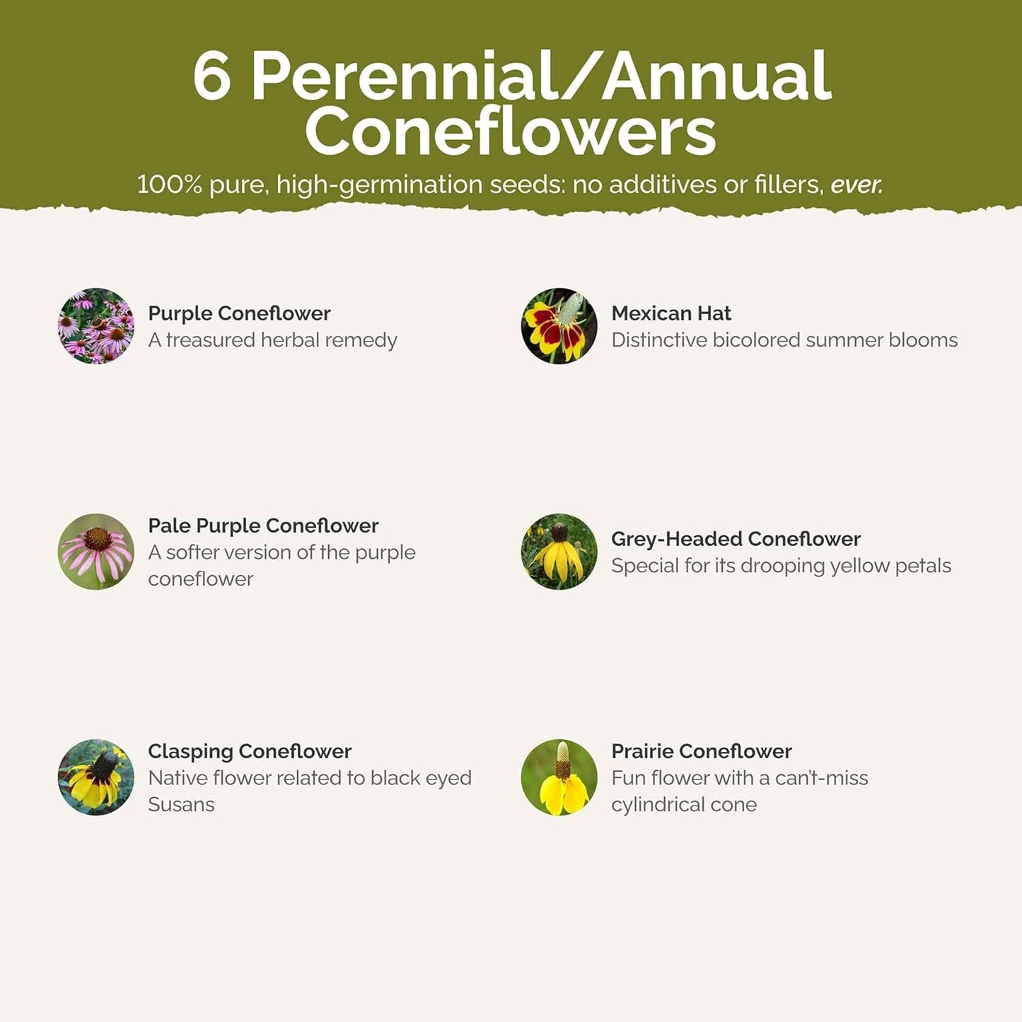 Eden Brothers Conehead Flower Mixed Seeds for Planting, 5 lb, 2,400,000+ Seeds with Prairie Coneflower, Mexican Hat | Attracts Pollinators, Plant in Spring or Fall, Zones 3, 4, 5, 6, 7, 8, 9, 10