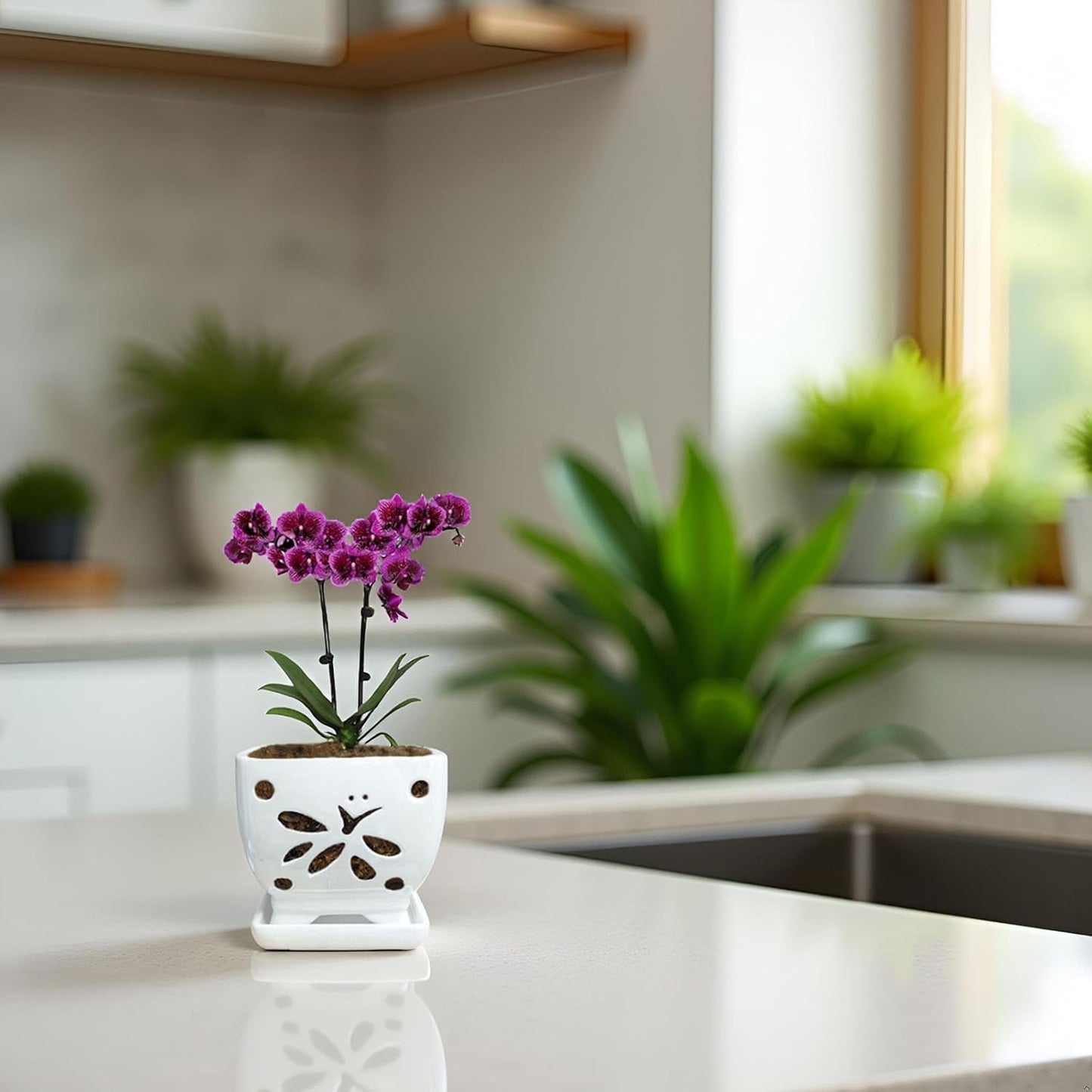 Orchid Pots with Holes Square Ceramic Orchid Planter Pots 5.5 inch (White)