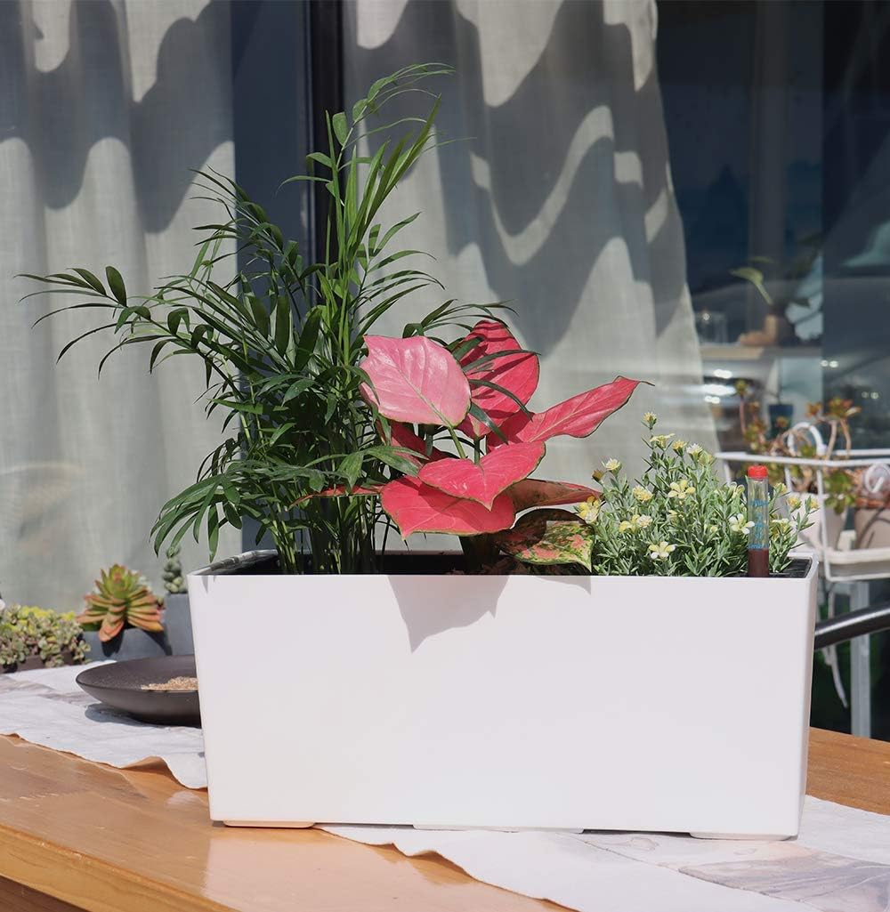 SAROSORA 14" Rectangle Self Watering Planter with Water Level Indicators for Plants & Flower Home Garden Outdoor Indoor Succulent | Herb pots | Window Box (1, White)