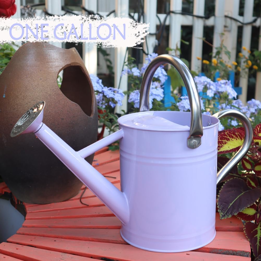 Metal Watering Can, One Gallon Watering Cans Stainless Steel for Outdoor Indoor Garden Plants Watering (Stainless Steel Handle Purple)