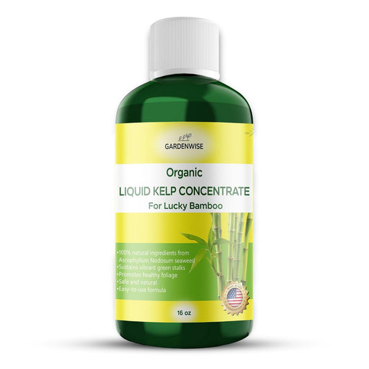 Organic Premium Kelp Seaweed Liquid Fertilizer for Lucky Bamboo - Natural Soil Enhancer (16 OZ)