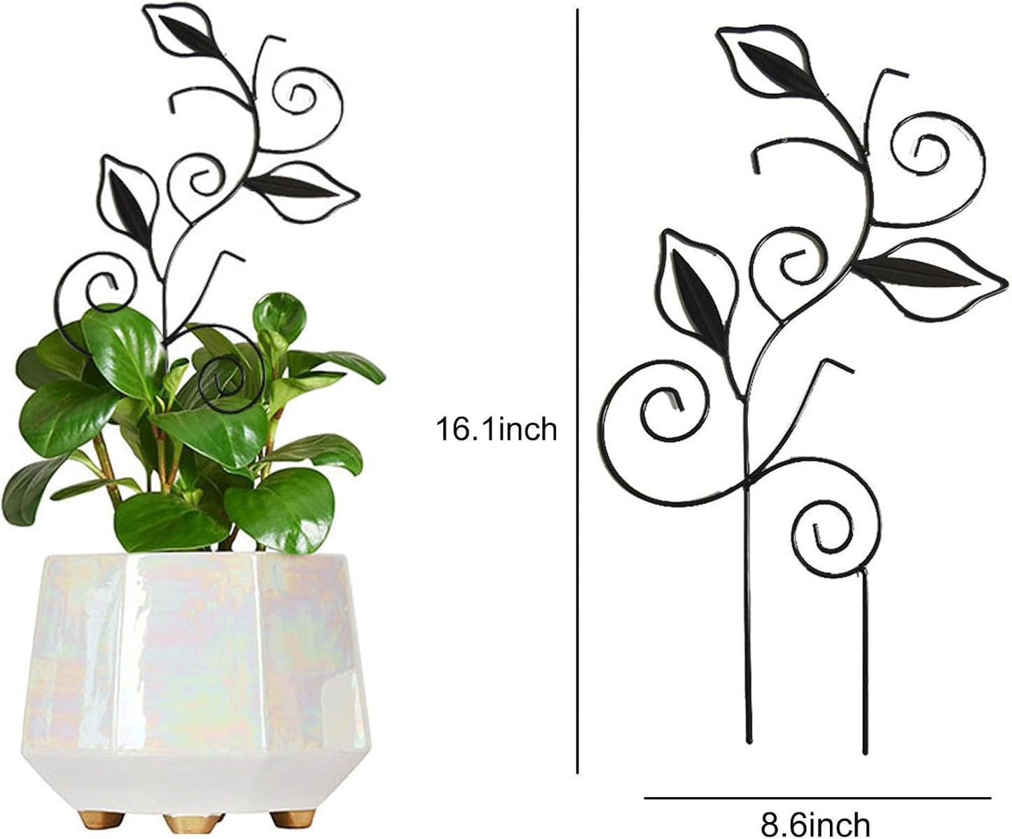 Decorative Metal Plant Trellis for Indoor Potted Plants – Leaf Shape Vine Support Stakes with 6 Plant Clips, Black/Green/Gold Garden Trellises for Climbing Plants, Vines (Black 1pc)