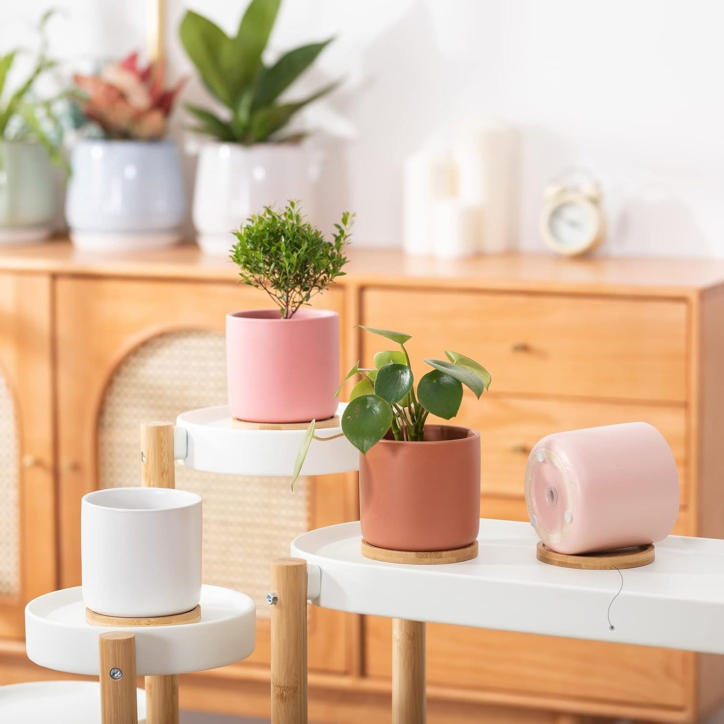 OMAYKEY 4 Inch Ceramic Plant Pot with Saucer, Multicolor Planters Pots with Drainage Hole and Mesh Pads for Succulent, Indoor Flowers, Snake Plants, Cactus, Herbs, Set of 4 (Plant Not Included)