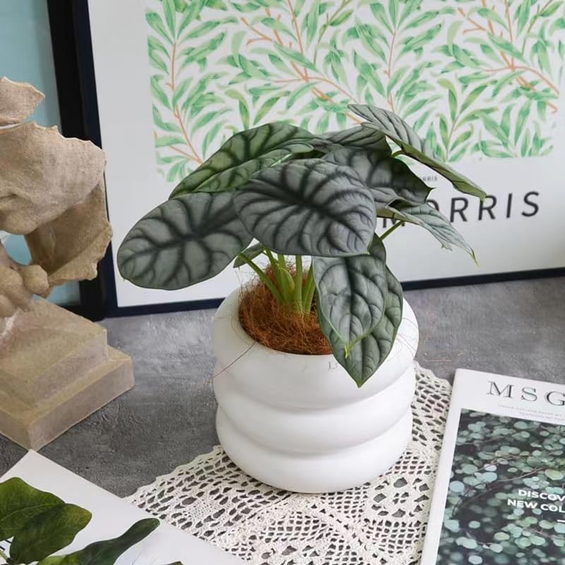 Ceramic Plant Pot Indoor, 4.7 Inch Flower Pot with Drainage Hole, Small Bubble Design Ceramic Planter for Home & Office Decor (White)