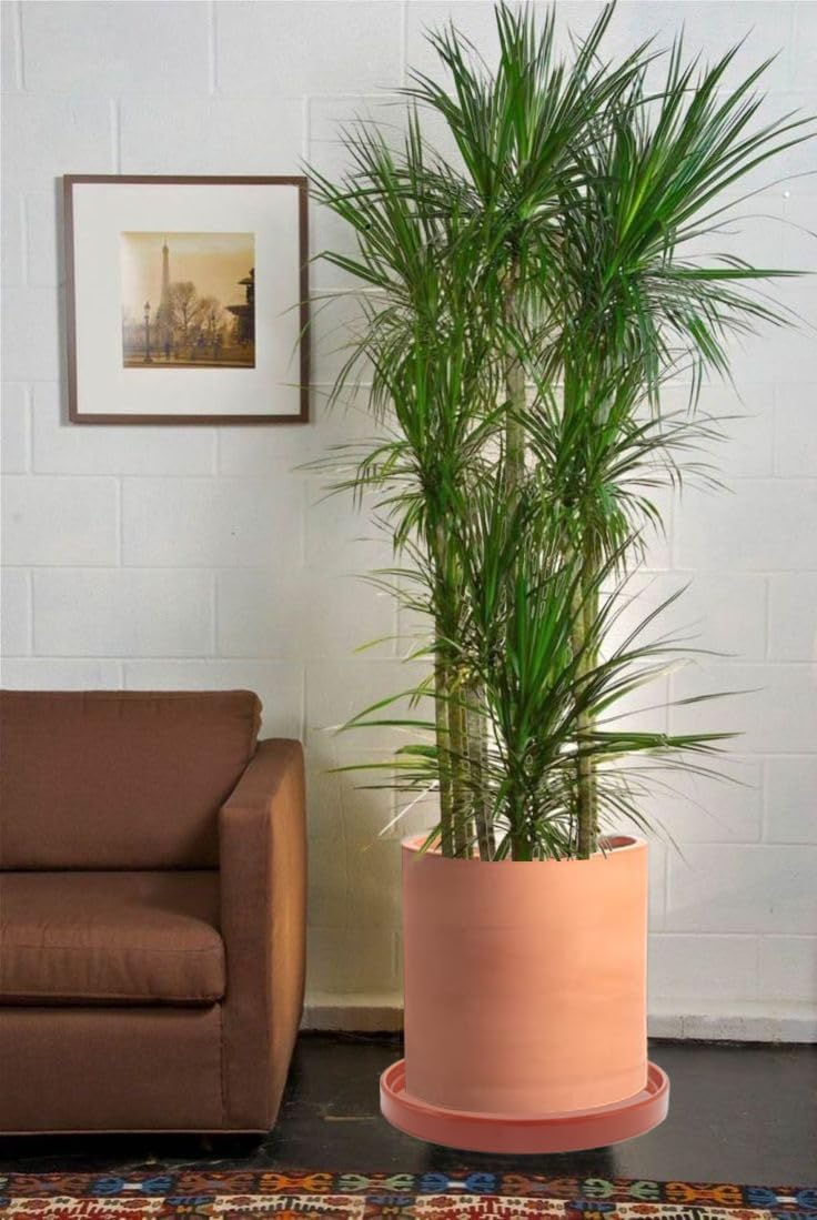 Ceramic Plant Saucer Pot Tray 12.5 Inch, Planter Saucers 6 7 8 9 10 11 12 15 Inch, Durable Sturdy Flower Drainage drip Water Tray for Glazed Pots Base (12.5 Inch- Red Terracotta)