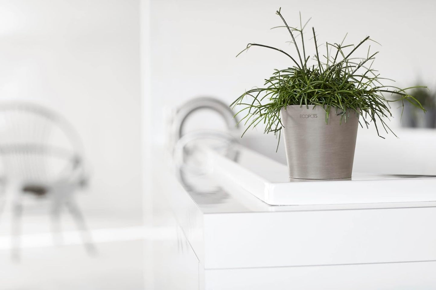 Ecopots Amsterdam Mini Durable Modern Round Recycled-Based Composite Flower Pot Planter, Taupe, 5"