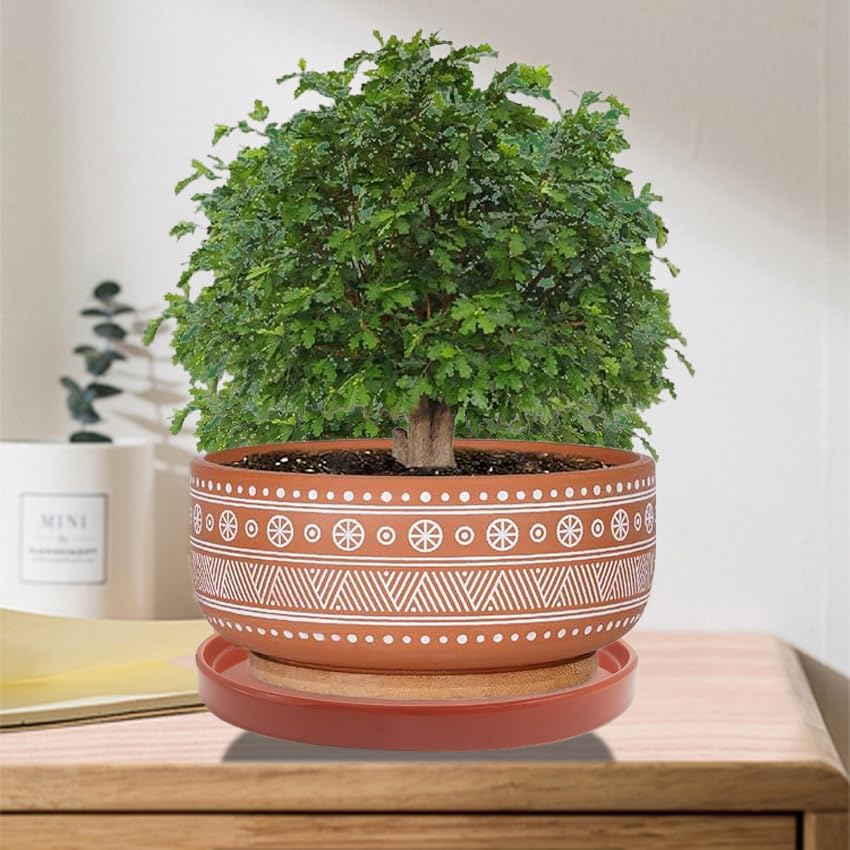 Ceramic Plant Saucer Pot Tray 8.5 Inch, Planter Saucers 6 7 8 9 10 11 12 15 Inch, Durable Sturdy Flower Drainage drip Water Tray for Glazed Pots Base (8.5 Inch- Red Terracotta)