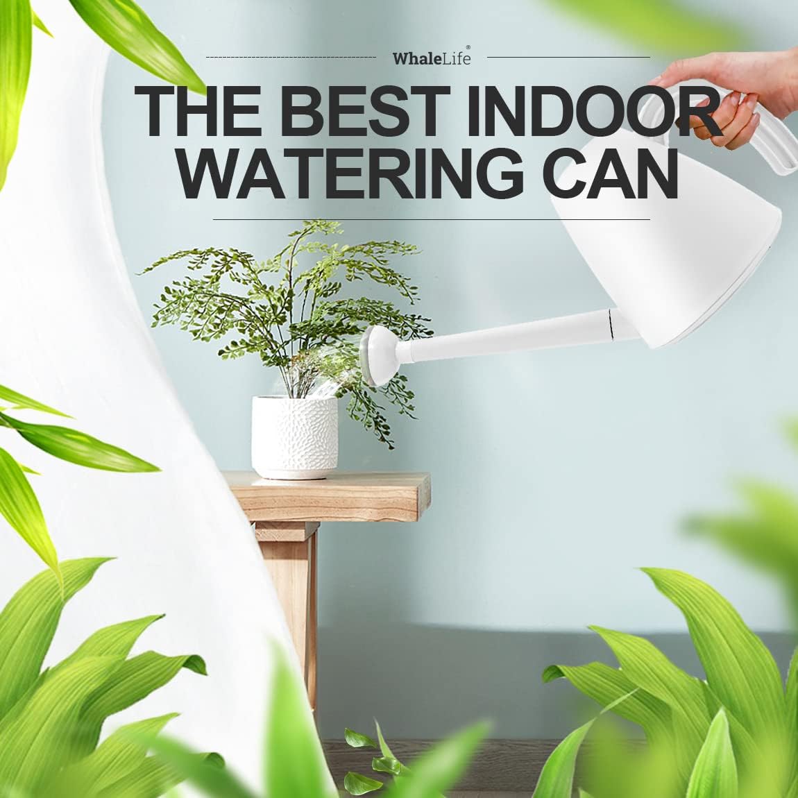 WhaleLife Indoor Watering Can for House Bonsai Plants (2.0L, White)