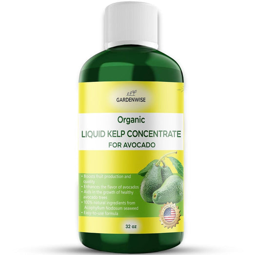 Organic Premium Kelp Seaweed Fertilizer - Liquid Plant Food - Nutrient-Rich Soil Enhancer - Improves Fruit Yield and Quality - Natural Plant Food for Avocado Tree (32 OZ)