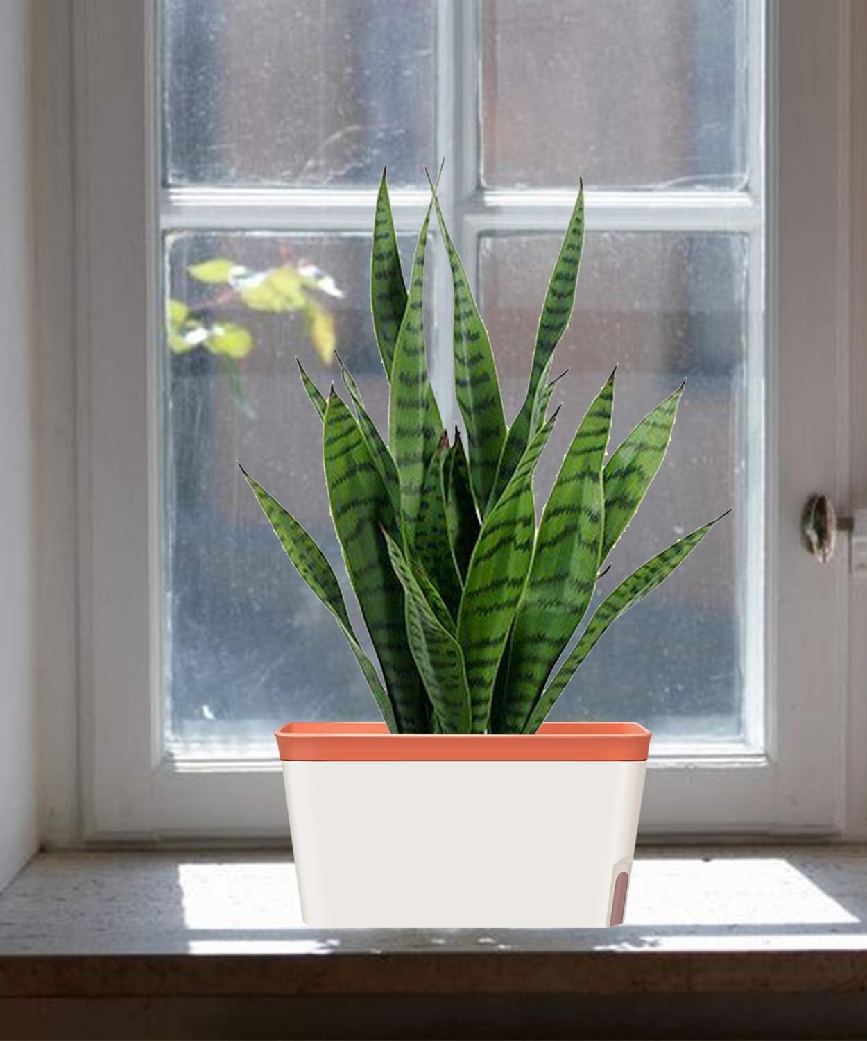 GardenBasix Self Watering Pots Window Box for Indoor Plants Set of 6 Home Garden Modern Decorative Flower Planter for All House Herbs Succulents (6, Tricolor)