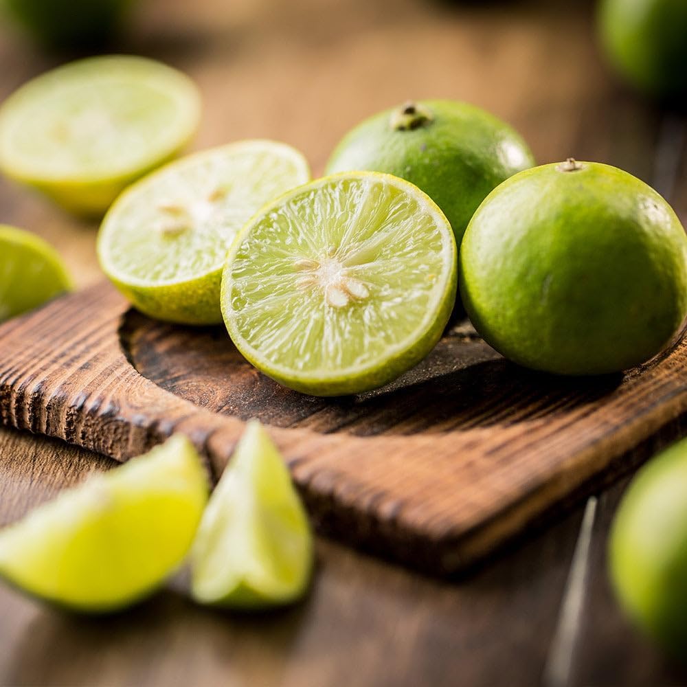 Brighter Blooms - Key Lime Tree, 4-5 ft. - No Shipping to AL, AZ, CA, FL, GA, LA, MS, OR, TX