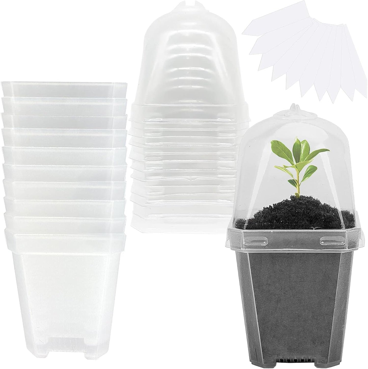 EBaokuup 10PCS Clear Plant Nursery Pots with Humidity Dome - 3" Plastic Gardening Pot with Labels, Durable Plastic Plant Container for Seedlings/Vegetables/Succulents/Cuttings