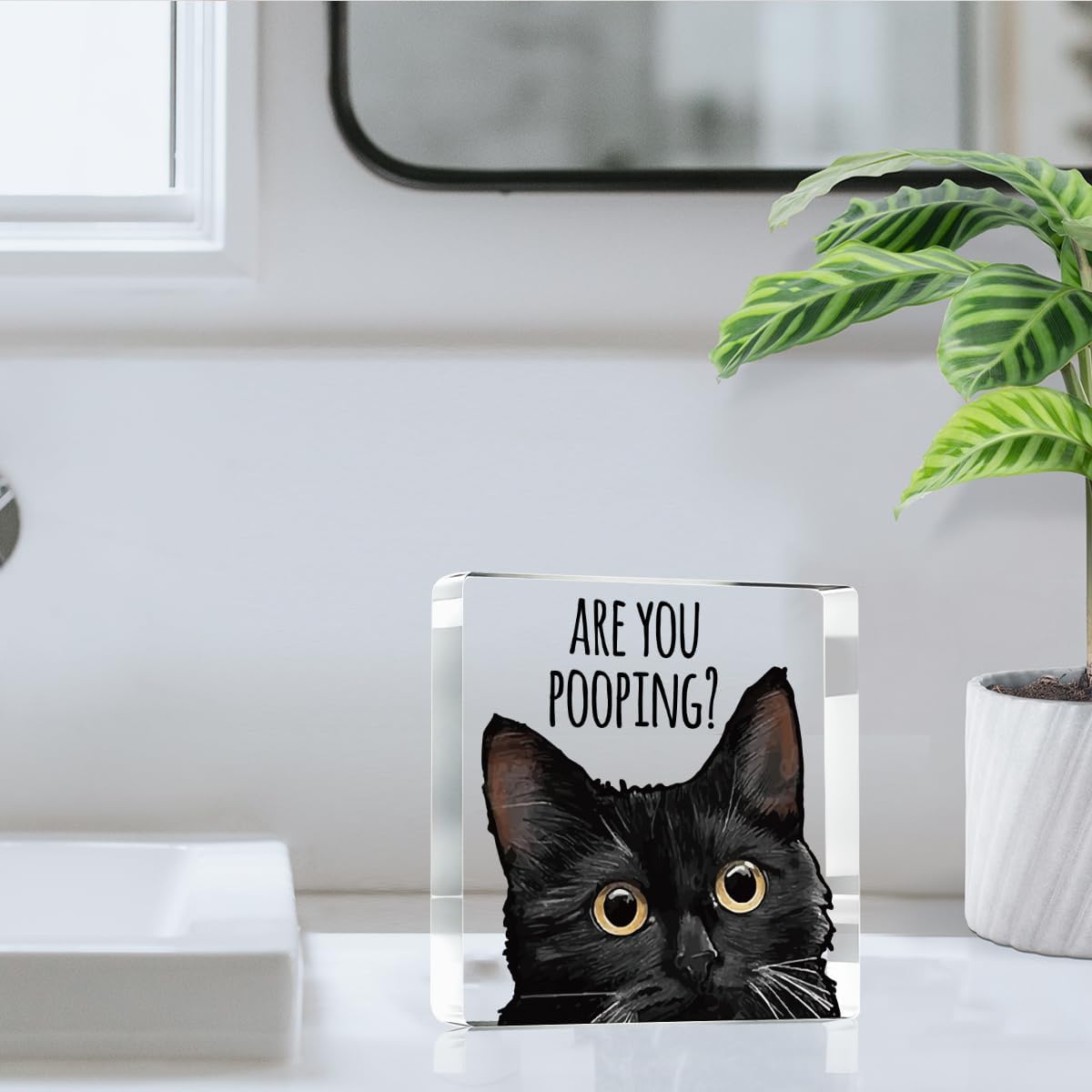 Are You Pooping Funny Sign，Black Cat Decor, Cat Bathroom Acrylic Decor，Home Decor Bathroom Creative Gift Cat Gifts for Women Cat Lovers，Funny Decorate Retro for Home Toilet