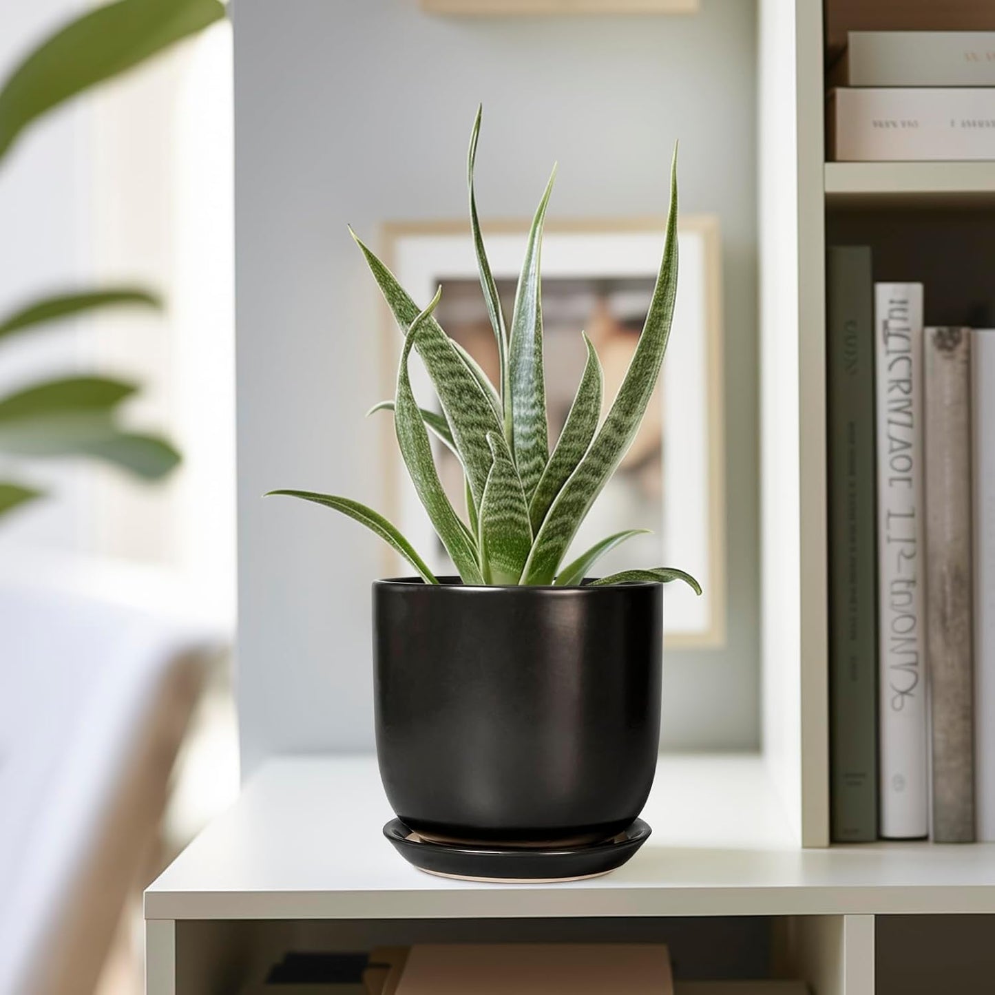 Ceramic Pot for Plants 5 Inch - Modern Round Indoor Planter for Cactus Succulent Plants with Drainage Hole and Saucer, Home Room House Office Decor, Black