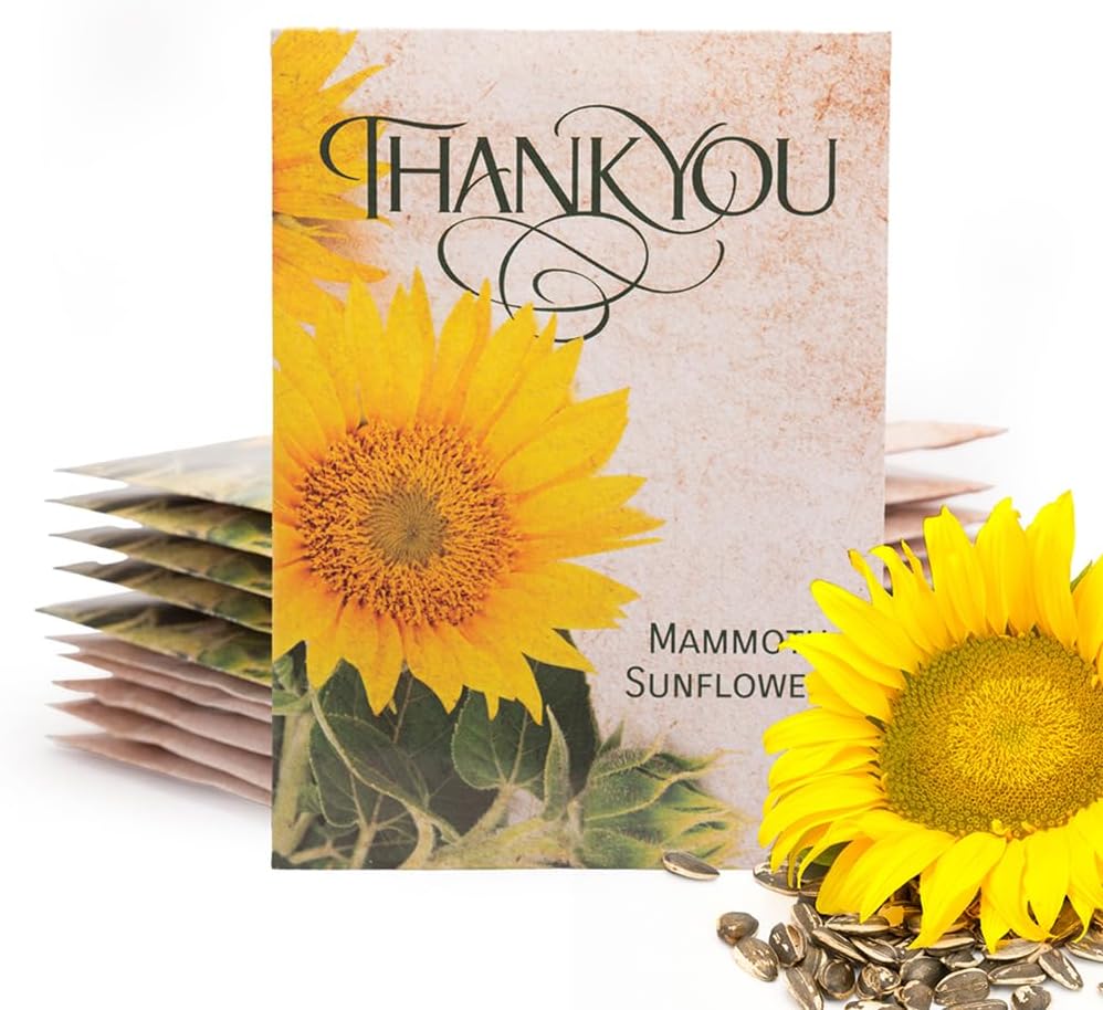Bentley Thank You Packet - Sunflower Seeds - Pack of 25 - Perfect Eco-Friendly Thank You Gift - Non GMO