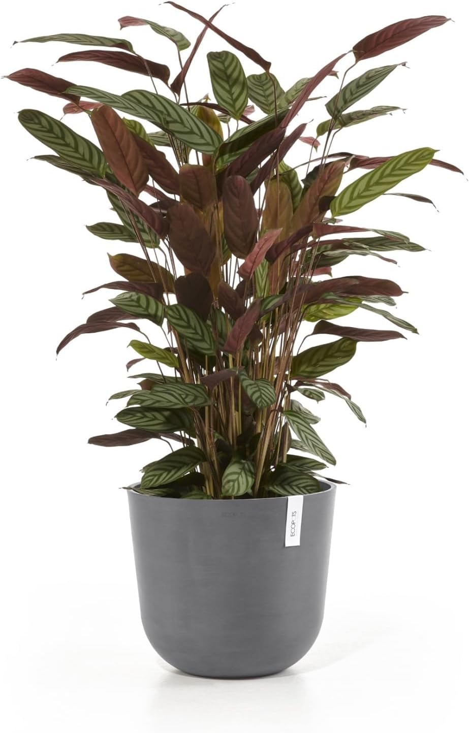 Ecopots Oslo Durable Modern Round Indoor/Outdoor Recycled-Based Composite Flower Pot Planter, Grey, 14"