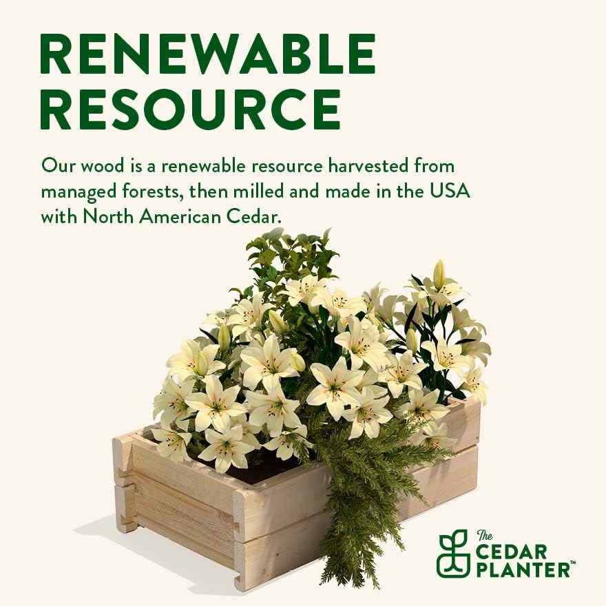 Greenes Fence Cedar Wood Planter Box, 21" x 11" x 7" - Made in USA with North American Cedar