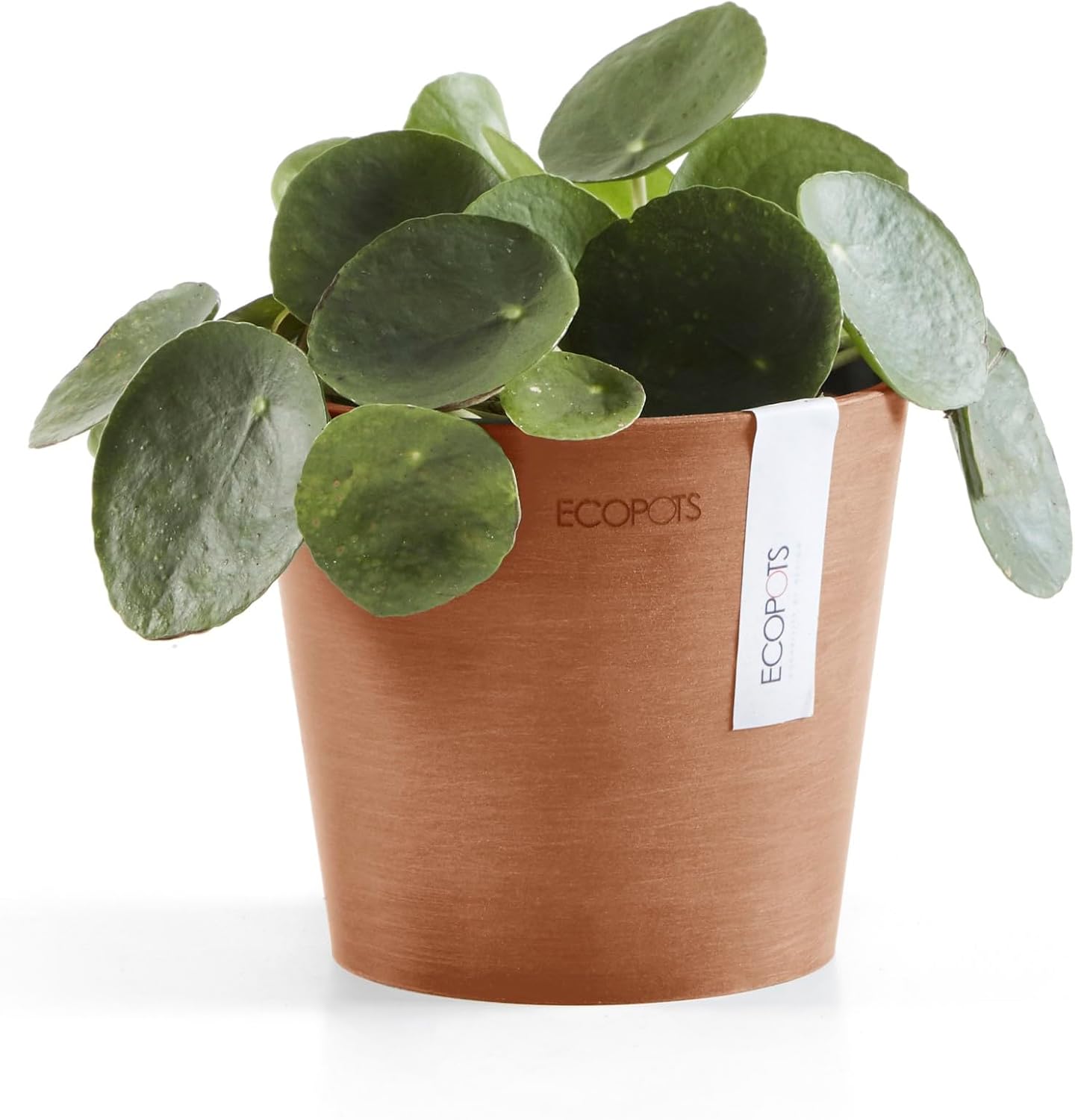 Ecopots Amsterdam Mini Durable Modern Round Recycled-Based Composite Flower Pot Planter, Terracotta Color, 5"