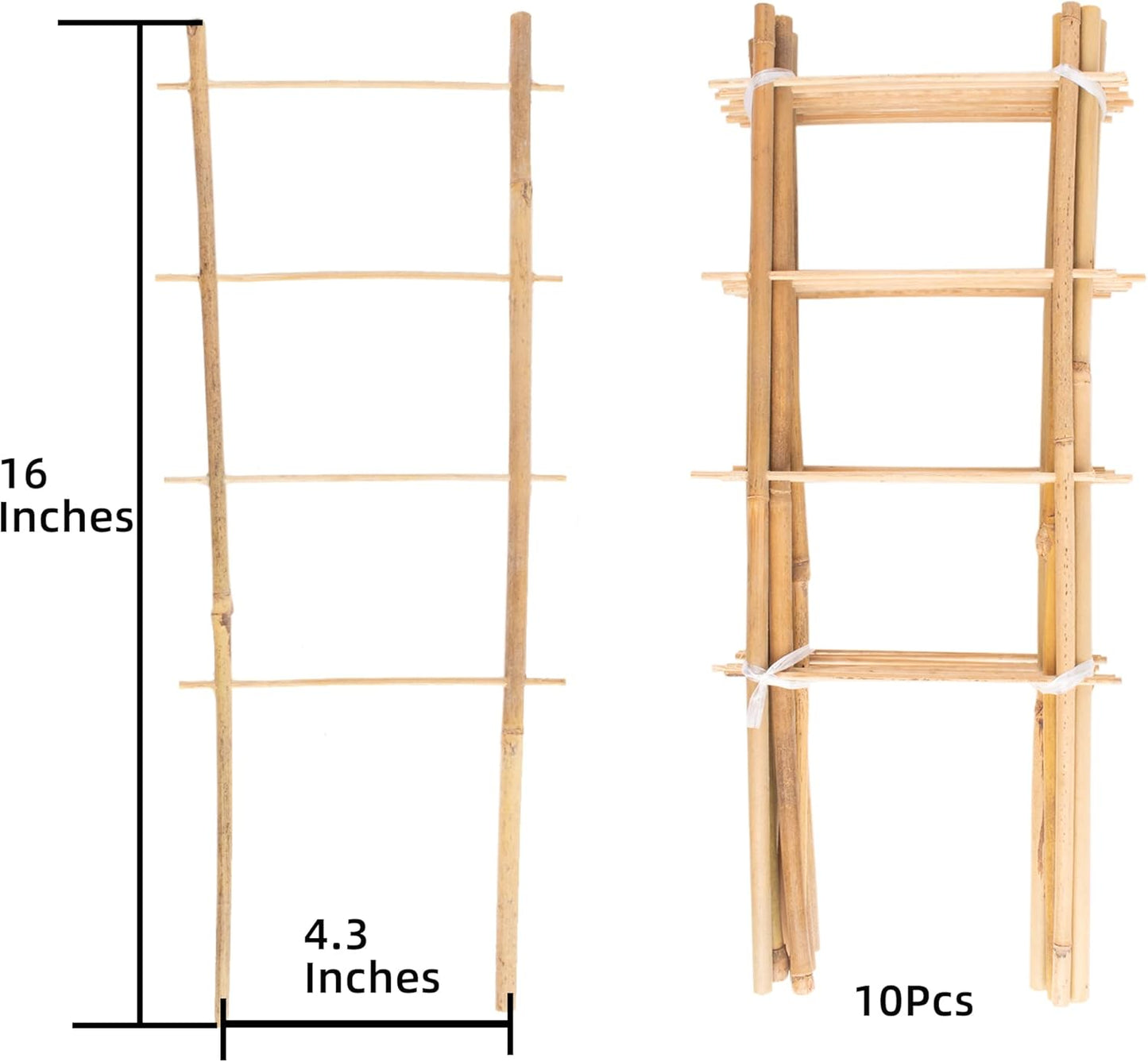 Avalution 10 Pack Natural Bamboo Trellis for Climbing Plants 16" Outdoor Garden Ladder Trellis, Fan -Shaped Plant Support Trellis for Potted Plant