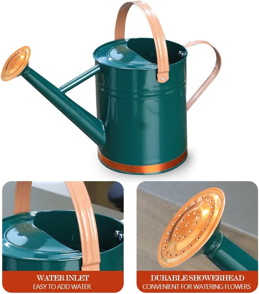 Metal Watering Can, One Gallon Watering Cans Stainless Steel for Outdoor Indoor Garden Plants Watering (One Gallon Green Decorative Strip)