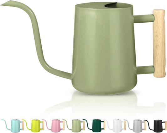 Watering Can Indoor Plants, 35oz Small Indoor Stainless Steel Metal Watering Can Modern Decorative Watering Pot with Long Spout for Indoor House Plant Bonsai Garden Flowers (Sage Green)