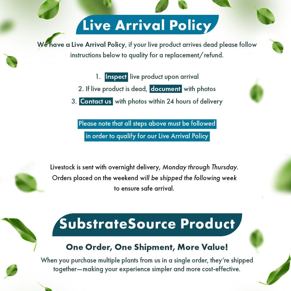 Live Plants – Anubias Nana Paxing (Anubias barteri VAR. Nana 'Paxing') – Low to Moderate Light, Deep Green Color Small Rounded Leaves, Foreground to Midground - Pot - 3 Pack