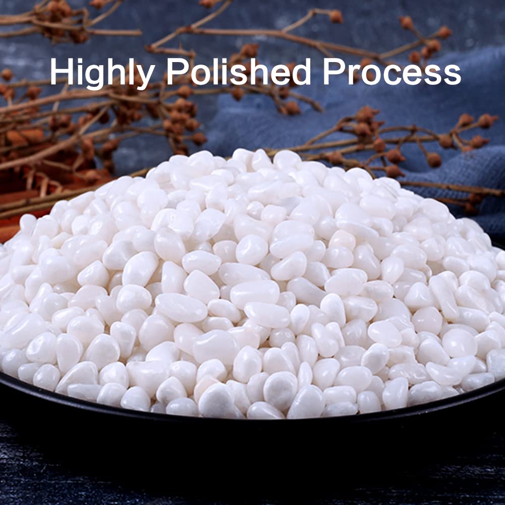 HOT SEAL 6.0 LB White Polished Pebbles 3/8", Natural Decorative Smooth River Rocks, Gravel Size White Small Pebble Stone for Succulent, Bonsai, Potted Plants, Landscaping, Fairy Garden, Aquarium
