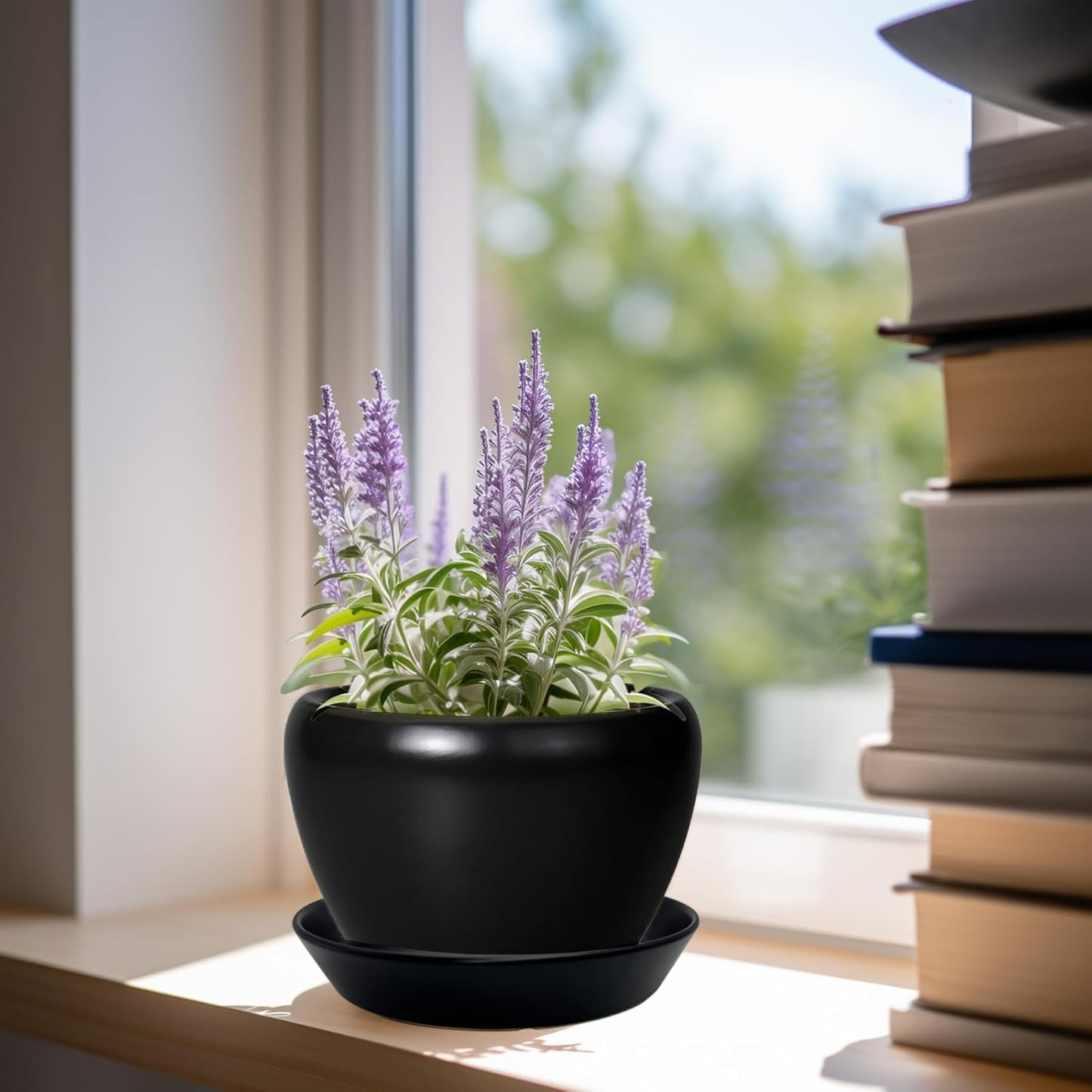 Plant Saucer Tray of 2 Pack 6 Inch, 7 inch (6.7 Inch) Plant Saucer Tray, Heavy Duty Glazed Ceramic Plant Saucers for Indoors & Outdoor, Flower Plant Water Trays for Pots Planter