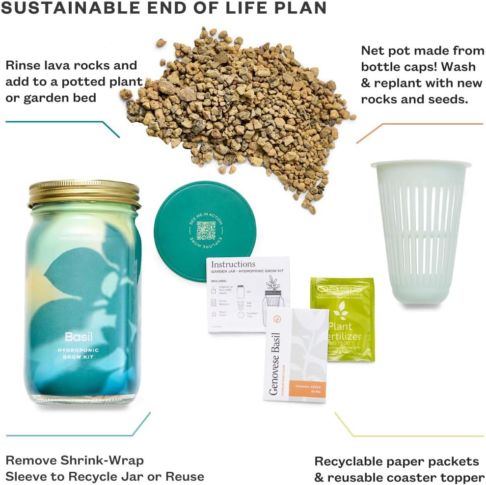 Modern Sprout Mason Garden Jar - Self-Watering Hydroponics Growing System Kit with Organic Herb Seeds - Jar Planter for Indoor Herb Garden - Seed Starter Kit - Home Decor & Gifting - Basil+Parsley