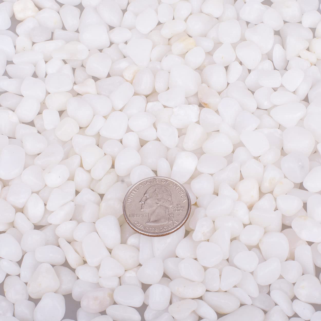 HOT SEAL 12.0 LB White Polished Pebbles 3/8", Natural Decorative Smooth River Rocks, Gravel Size White Small Pebble Stone for Succulent, Bonsai, Potted Plants, Landscaping, Fairy Garden, Aquarium