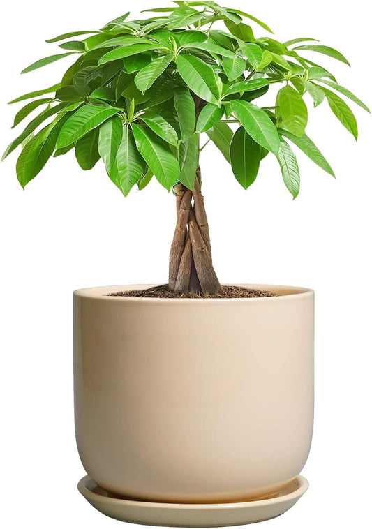 Ceramic Plant Pot - 7 Inch Mid Century Round Ceramic Planter for Indoor Plants with Drainage Hole and Saucer, Modern Home Decor, Yellow