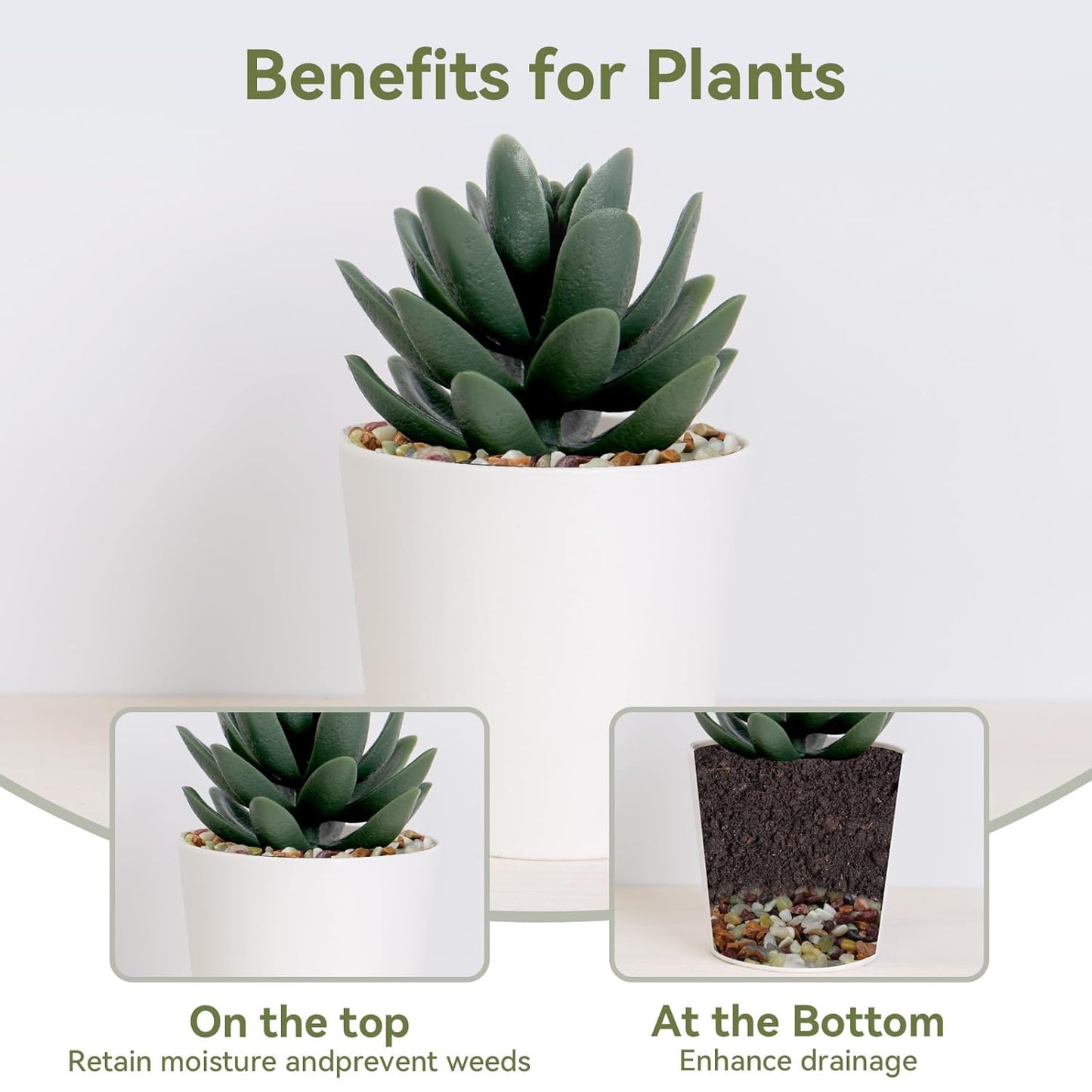 5 lbs Pebbles for Indoor Plants, Succulent Rocks, 3/8" Polished Pebbles for Bamboo, Vase, Terrarium, Natural Decorative Small River Rocks for Crafts, Cactus, Outdoor Garden Landscaping