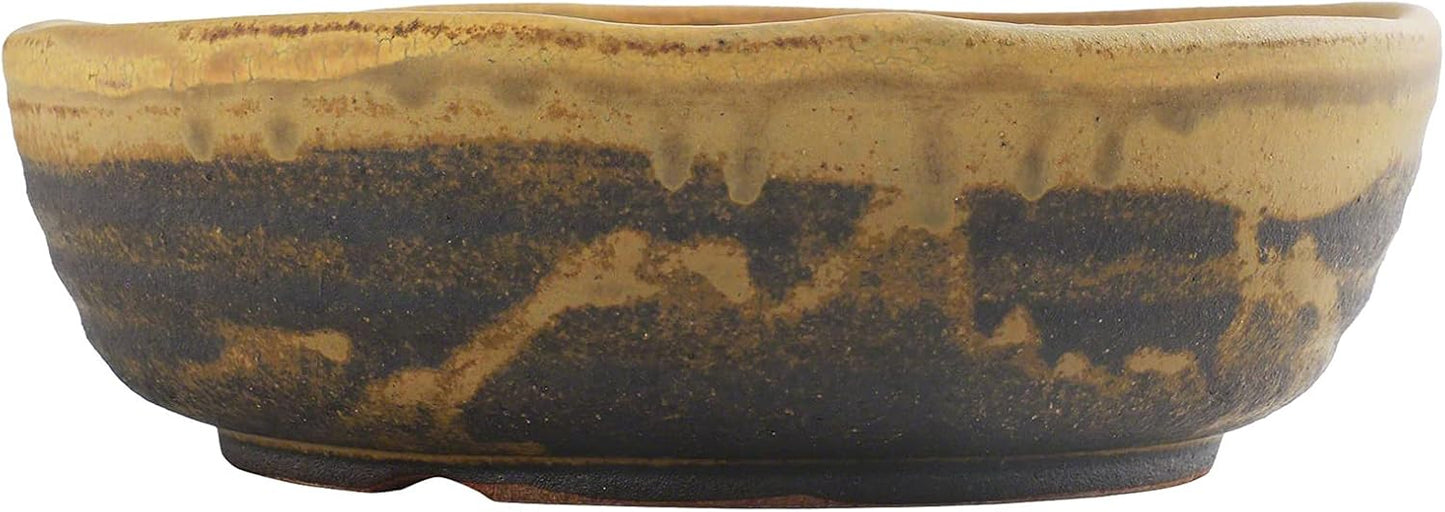 Wazakura Shigaraki Series Yellow Dust Stripe Glazed Ceramic Bonsai Pot Made in Japan, Garden Training Container, Flower Planter, Succulent Bowl - Yellow Sand Big Size