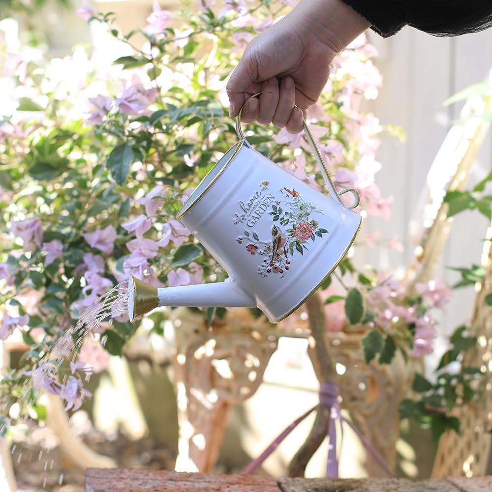 Cute Small Watering Can Indoor Plants Garden Metal Decorative Watering Cans for Outdoor Plants Bonsai Outdoor Garden Flower Decorative (White, 1.5L, 50.7 Oz)