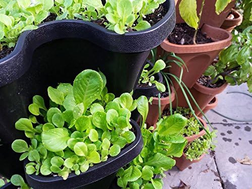Mr. Stacky Smart Farm - Automatic Self Watering Garden - Grow Fresh Healthy Food Virtually Anywhere Year Round - Soil or Hydroponic Vertical Tower Gardening System (Standard Kit, Black)