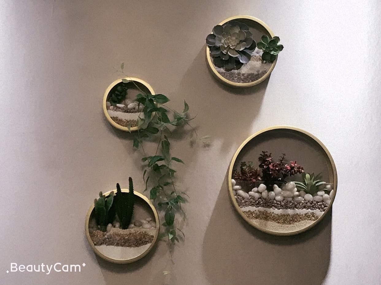 3 Pack Set Wall Planters,Modern Round Glass Wall Planter Succulent Planter Circle Iron Hanging Planter Vase for Herb,Small Cactus Perfect for Balcony, Room and Patio Decor (Gold)