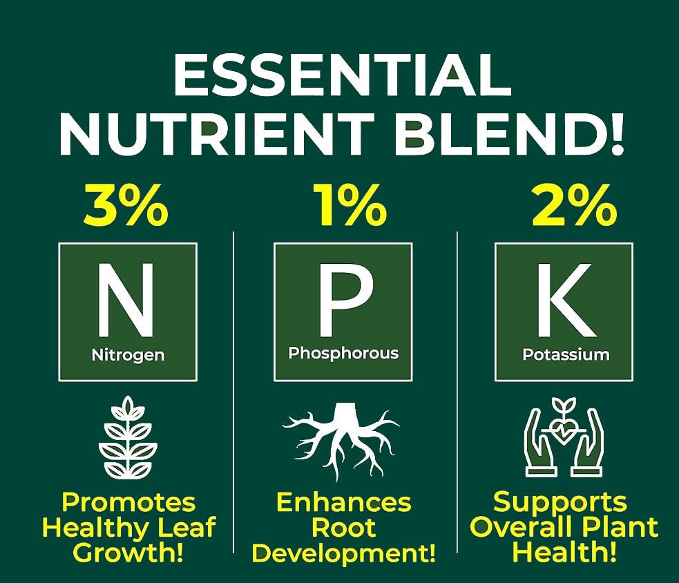 Professional Monstera Spray Fertilizer Mist for Home Gardening | 3-1-2 Gentle Blend Mist for Healthy Leaves & Growth | Essential Nutrients for Monstera - 8oz