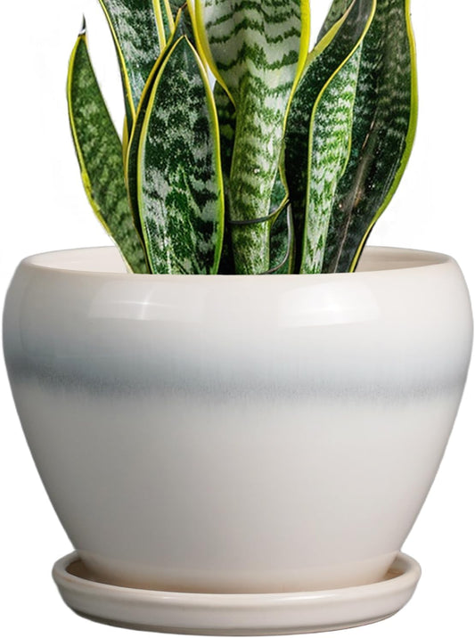 Ceramic Planter - 8 Inch Plant Pot with Drainage Hole and Saucer, Glaze Round Flower Pot for Home Garden Patio Office, White