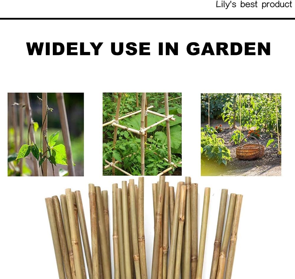 50 Pack 5ft Bamboo Plant Stakes for Wood Garden Sticks，Wooden Plant Supports，Bamboos，Bamboo Trellis，Crafts, More Size Choices 8"/12"/16"//2'/3'/4'/5'/6'