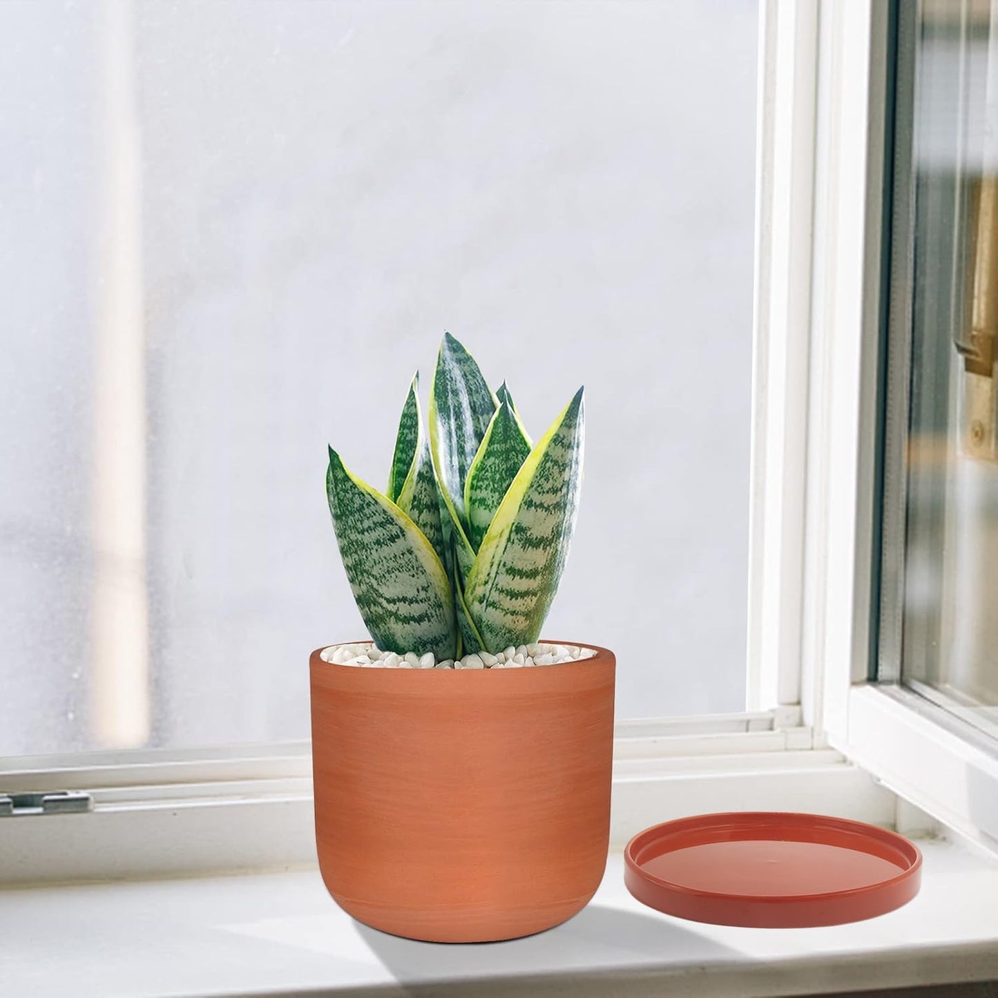 Ceramic Plant Saucer Pot Tray 10.7 Inch, Planter Saucers 6 7 8 9 10 11 12 15 Inch, Durable Sturdy Flower Drainage drip Water Tray for Glazed Pots Base (10.7Inch- Red Terracotta)