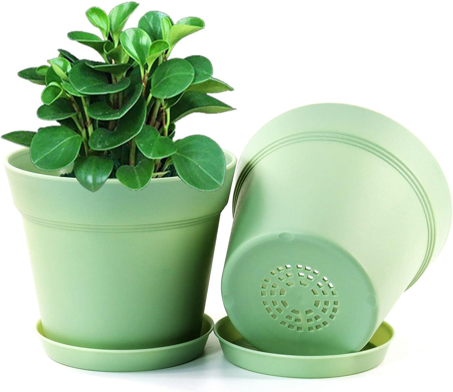 WOUSIWER 16 Pack 6 inch Plastic Planters, Indoor Flower Pots, Heavy Duty and Stylish 6 Inch Plant Pots for Indoor Plants with Drainage Holes and Tray for Plants, Flowers, Colorful